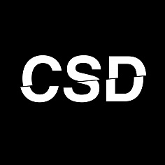 Будущее канала связи CSD Будущее канала связи CSD