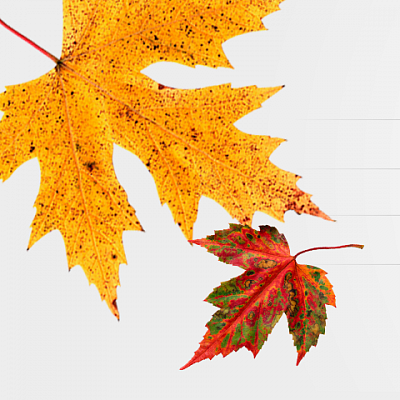 Акция "Знания — сила!"